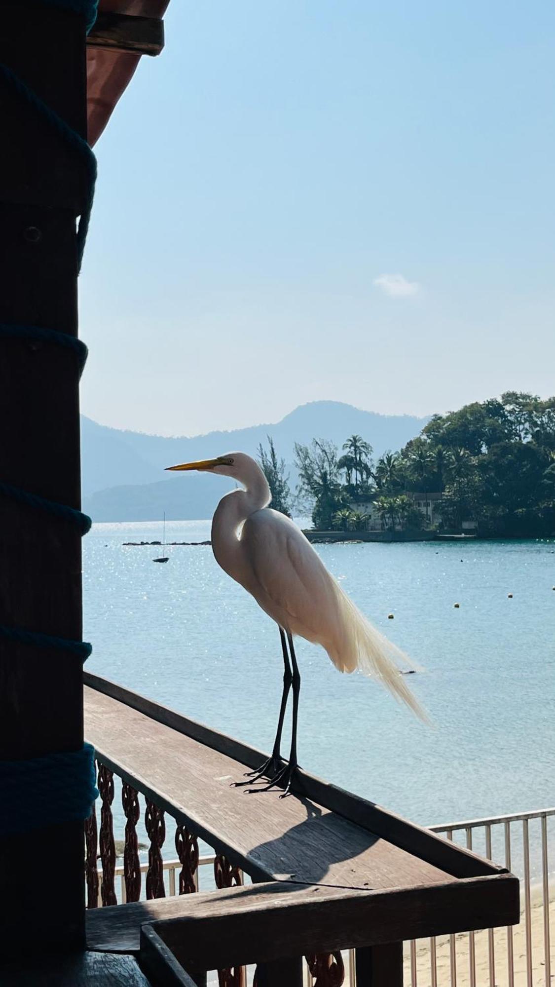 Guest House Floresta Mar Angra dos Reis Exterior foto